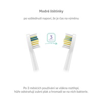 TrueLife SonicBrush Compact Duo Black / Lavender