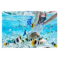 AGFAPHOTO Realimove CC4000W Black