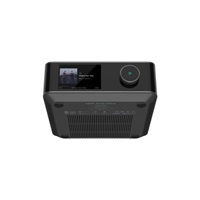 WiiM Amp Ultra, stříbrný