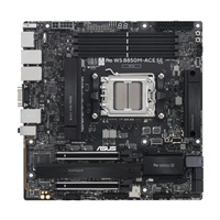 ASUS MB Sc AM5 Pro WS B850M-ACE SE, AMD B850, 4xDDR5, 1xHDMI, 1xDP, 1xVGA, mATX