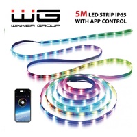 WG - LED pásek WG2, 5 metrů, s aplikaci, IP 65