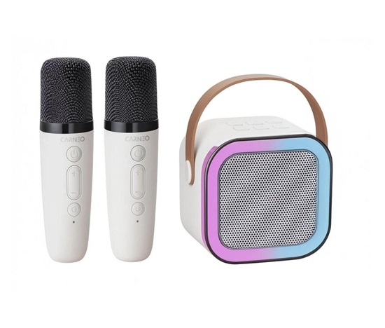 CARNEO Karaoke DJ mini