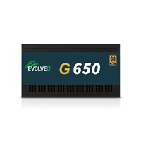 EVOLVEO G650 zdroj 650W, 80+ GOLD, ATX 3.1, aPFC, 140 mm ventilátor