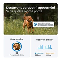 Tractive DOG 6 – GPS lokátor pro psy a monitor zdraví, mátový