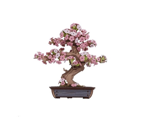 RoboTime 3D dřevěná skládačka Bonsaj sakura