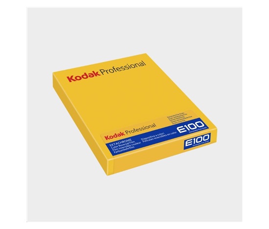 Kodak Ektachrome E100 8x10 10 Sheets