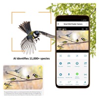 Camouflage EZ-BirdFeed