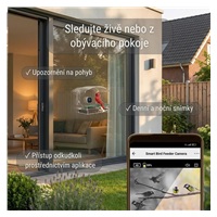 Camouflage EZ-Windowspot