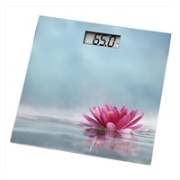 Xavax osobní digitální váha ROSA