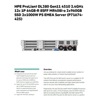 HPE PL DL380g11 4510 (2.4/12C) 2x32G 2x960G SSD P40498 8SFF MR408i-o 2x1000W 4p1G SmartChoice (promáčknutý roh krabice)