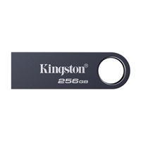 Kingston Flash Disk 256GB DataTraveler SE9 G3, USB 3.2 Gen 1, šedá