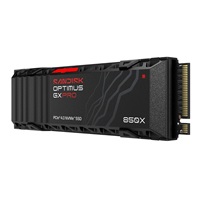 SANDISK SSD OPTIMUS GX PRO 850X NVMe 1TB PCIe, Gen4, (R:7300, W:6300MB/s), chladič – náhled 2