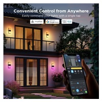 BAZAR - Govee RGBICWW Smart venkovní nástěnné světlo 1500lm Matter - Poškozený obal (Komplet)