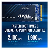 PNY SSD CS1030 250GB, PCIe Gen3x4, M.2 2280, (R:2500/ W:1100MB/s)