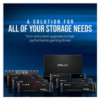 PNY SSD CS1030 250GB, PCIe Gen3x4, M.2 2280, (R:2500/ W:1100MB/s)