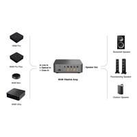 BAZAR - WiiM Vibelink Amp - Grey - Poškozený obal (Komplet)