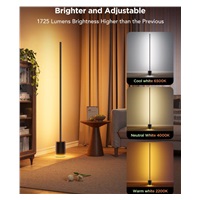BAZAR - Govee RGBICWW Floor Lamp 2 RGBICWW Matter + ovladač - Poškozený obal (Komplet)