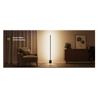 BAZAR - Govee RGBICWW Floor Lamp 2 RGBICWW Matter + ovladač - Poškozený obal (Komplet)