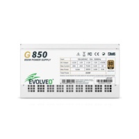 EVOLVEO G850 zdroj 850W, 80+ GOLD, ATX 3.1, aPFC, 140 mm ventilátor, záruka 3 roky, bílý
