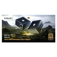 EVOLVEO G850 zdroj 850W, 80+ GOLD, ATX 3.1, aPFC, 140 mm ventilátor, záruka 3 roky, bílý