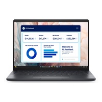 DELL NTB Pro 13 Premium PA13250/U5-236V/Evo/16GB/512SSD/13.4" FHD+|IR Cam & Mic/No AC Adapter/Bck Kb/W11P/3Y PS NBD