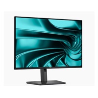 DELL LCD P2426E - 24"/IPS/LED/1920x1200/16:10/100Hz/8ms/1500:1/300 cd/m2/HDMI/DP/Pivot/VESA/3YNBD (210-BMGC)