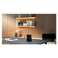 WiiM Sound Lite Reproduktor, černý