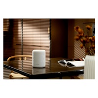 WiiM Sound Lite Reproduktor, bílý