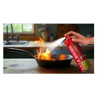 Safe Hasicí sprej 500 RED