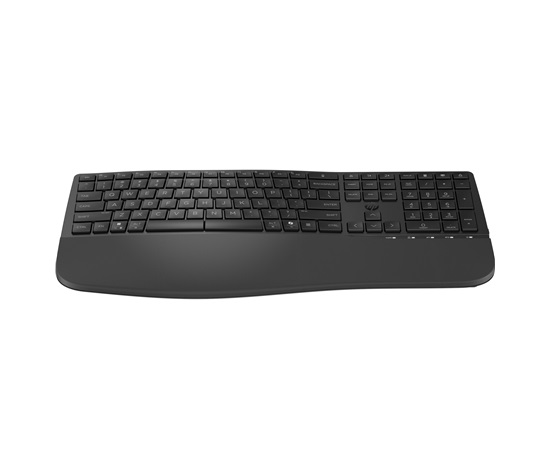 HP Multi-Device Wrls Dual-Mode Keyboard with Palm Rest 585K CZ-SK