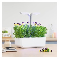 BAZAR - Véritable Lingot Maceška - BIO - Poškozený obal (Komplet)