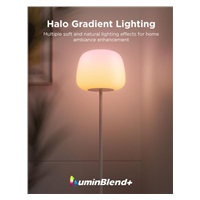 BAZAR - Govee Lantern RGBICWW stojací lampa, Matter - Poškozený obal (Komplet)