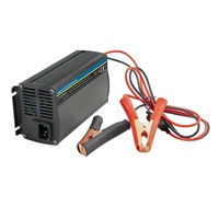 AVACOM Nabíječka WILSTAR 12,8V/20A pro baterie LiFePO4