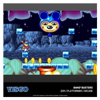 Evercade Visco Arcade 2