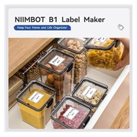BAZAR - Niimbot Tiskárna štítků B1 Smart, grey + role štítků 210ks - Poškozený obal (Komplet)