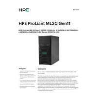 HPE PL ML30g11 6325P (3.5G/4C8T) 2x16C 8SFF 1x1000W 4p1G NBD311 Smart Choice