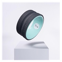 Chirp Wheel+ 10"