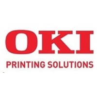 Oki Paměť 128 MB pro B410/B430/B440