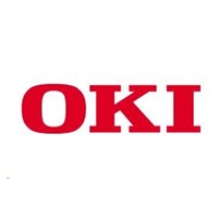 Oki Paměť 256MB pro C321/330/331/530/531/610/612/711/712/822/831/841/MC342/342w/351/352/361/362/561/562/B840