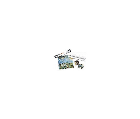 Film A4 Iron on Transfer ( 10 sheets )