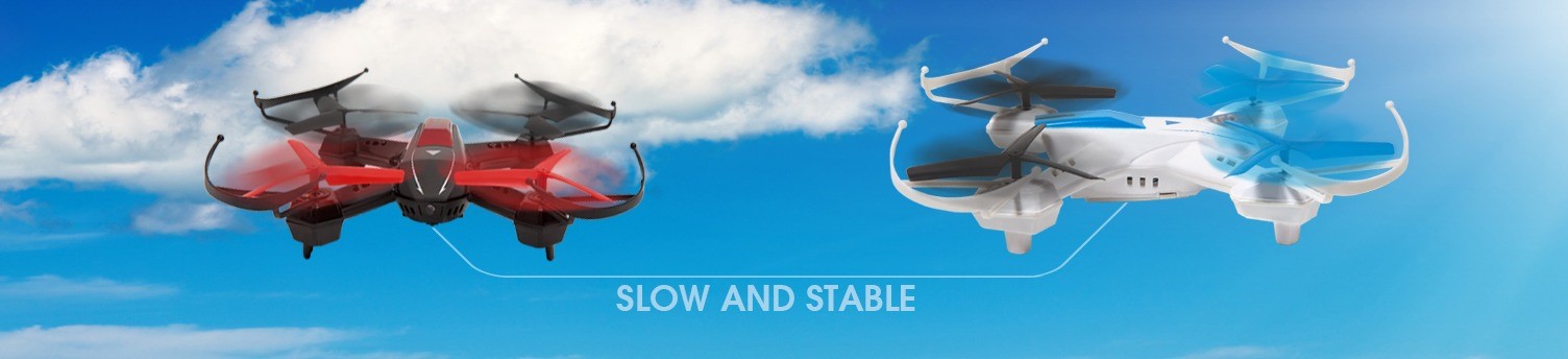 Stable flight or dynamic fight