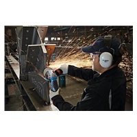 Bosch GWS 19-125 CIE, Professional