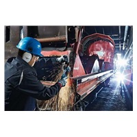 Bosch GWS 19-125 CIE, Professional