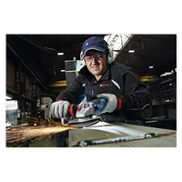 Bosch GWS 19-125 CIE, Professional