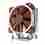 NOCTUA Chladič CPU NH-U12DX i4, 1x 120mm, LGA2066, LGA1366, LGA1356, hnědá/stříbrná